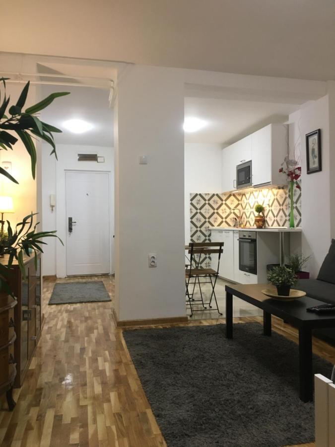 Axis Mundi Apartment Belgrade